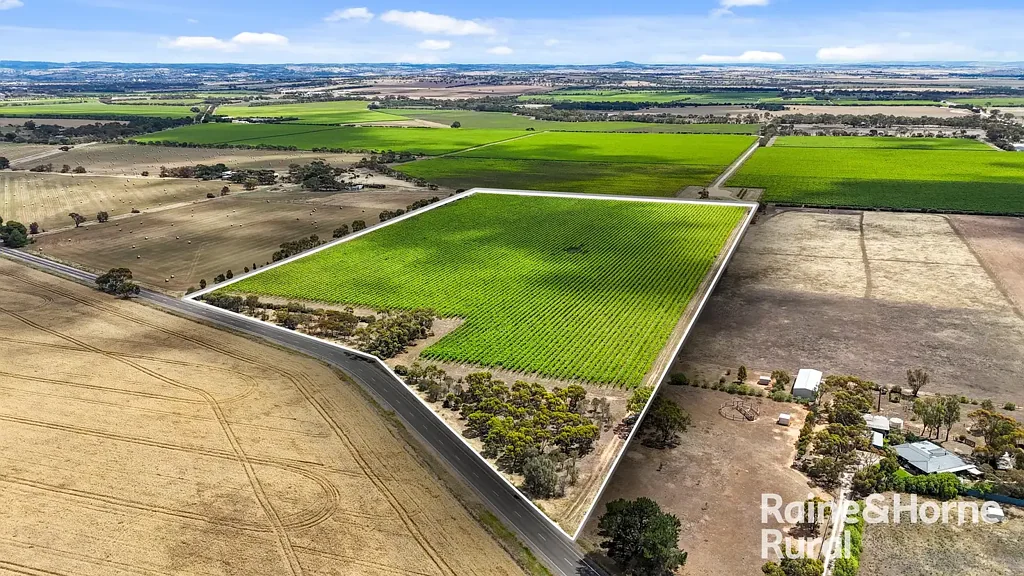 Angas Plains Flexibility, lifestyle and sealed road location on 27-acres.