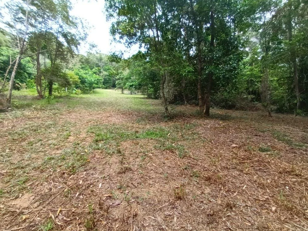 Lot 45 Ronald Road, Forest Creek, Daintree, QLD 4873