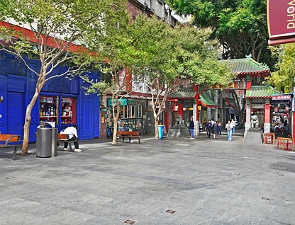 167 8 Dixon Street, Sydney, Sydney CBD, 0房, 1浴, Unit