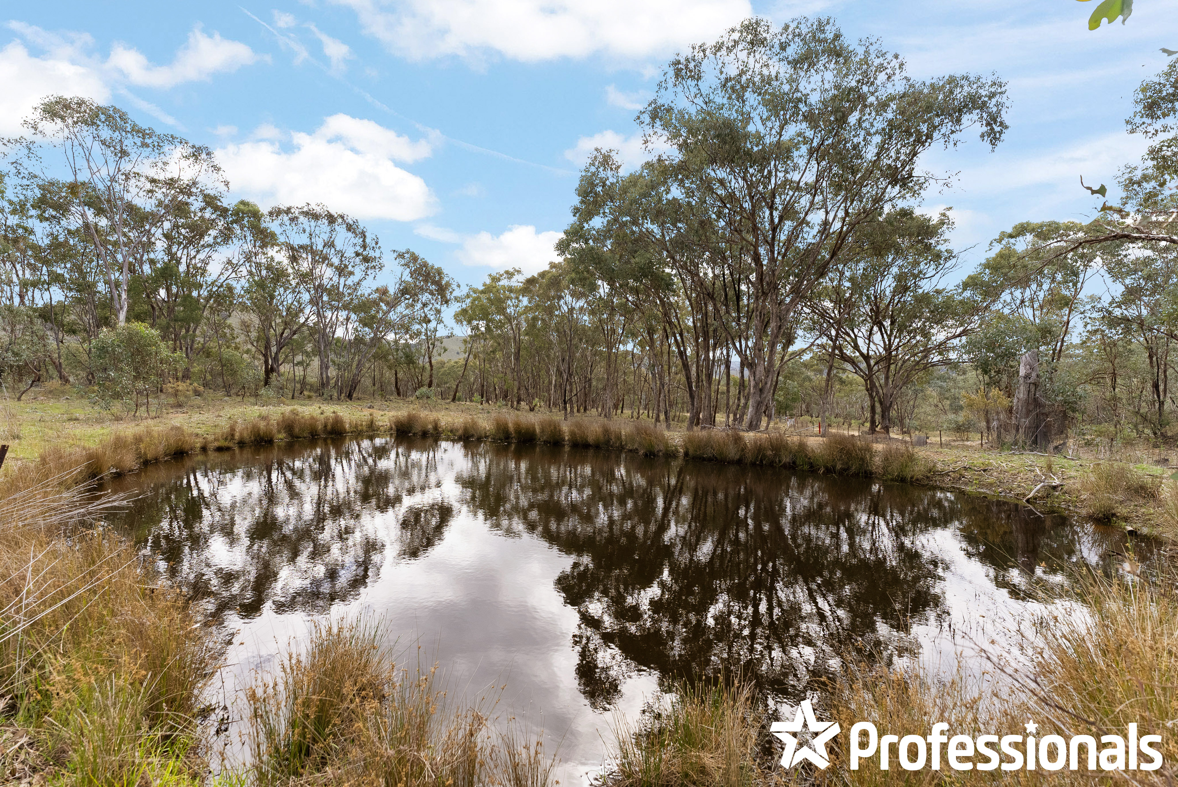 OAKDALE 2905 TURONDALE RD, TURONDALE NSW 2795, 0 રૂમ, 0 બાથરૂમ, Lifestyle Property