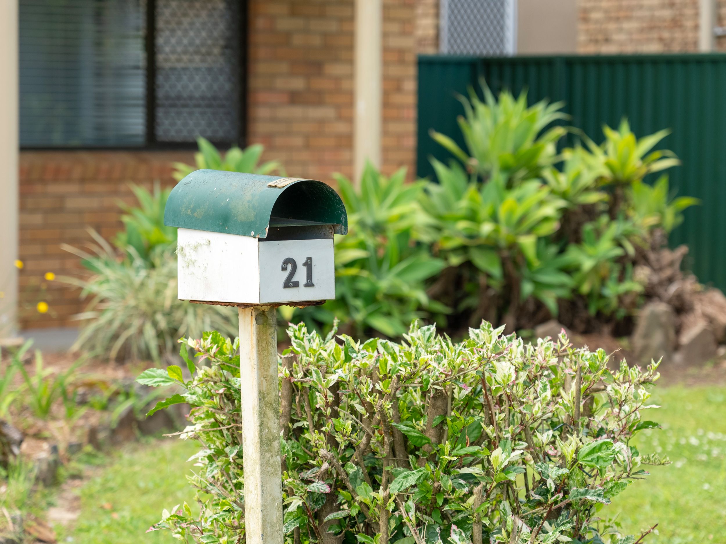 21 CANIABA ST, SOUTH LISMORE NSW 2480, 0 રૂમ, 0 બાથરૂમ, House