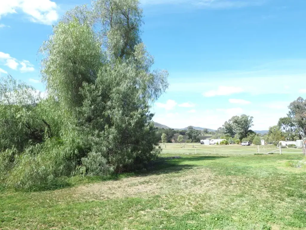 Bingara Acreage Within the Town Boundary