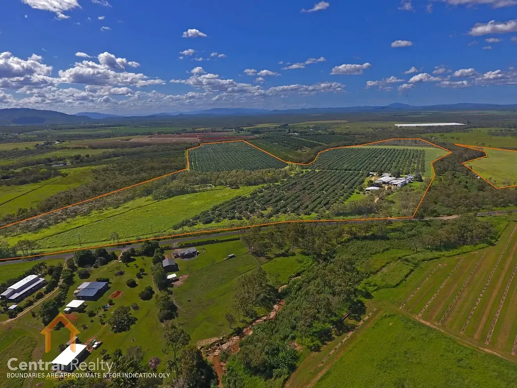 Mareeba  COMMERCIAL AVOCADO FARM CLOSE TO TOWN