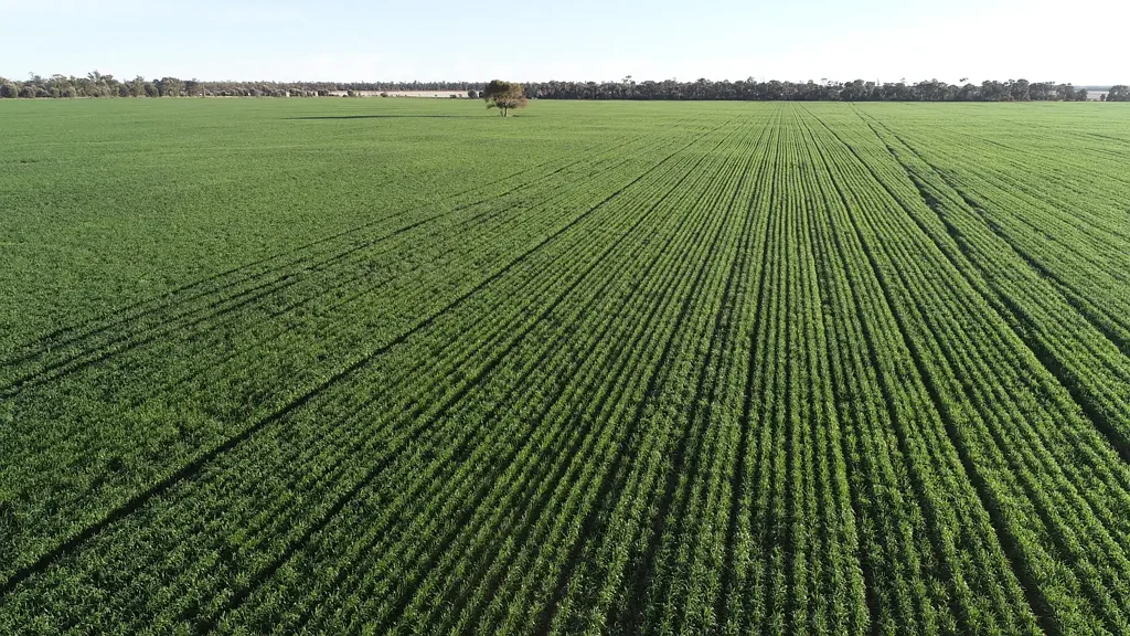 Goondiwindi Quality Country in Prime Location with Crops Included
