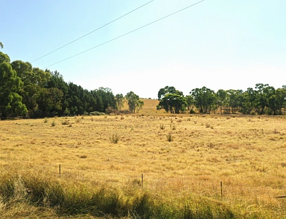 1418 Wombat Road, Wombat via, Young, Riverina, 0 침실, 0 욕실, Section