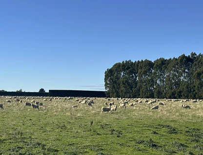 200 Rakahouka Grove Bush Road, Winton Surrounds, Southland, 0 Bedrooms, 0 Bathrooms, Grazing