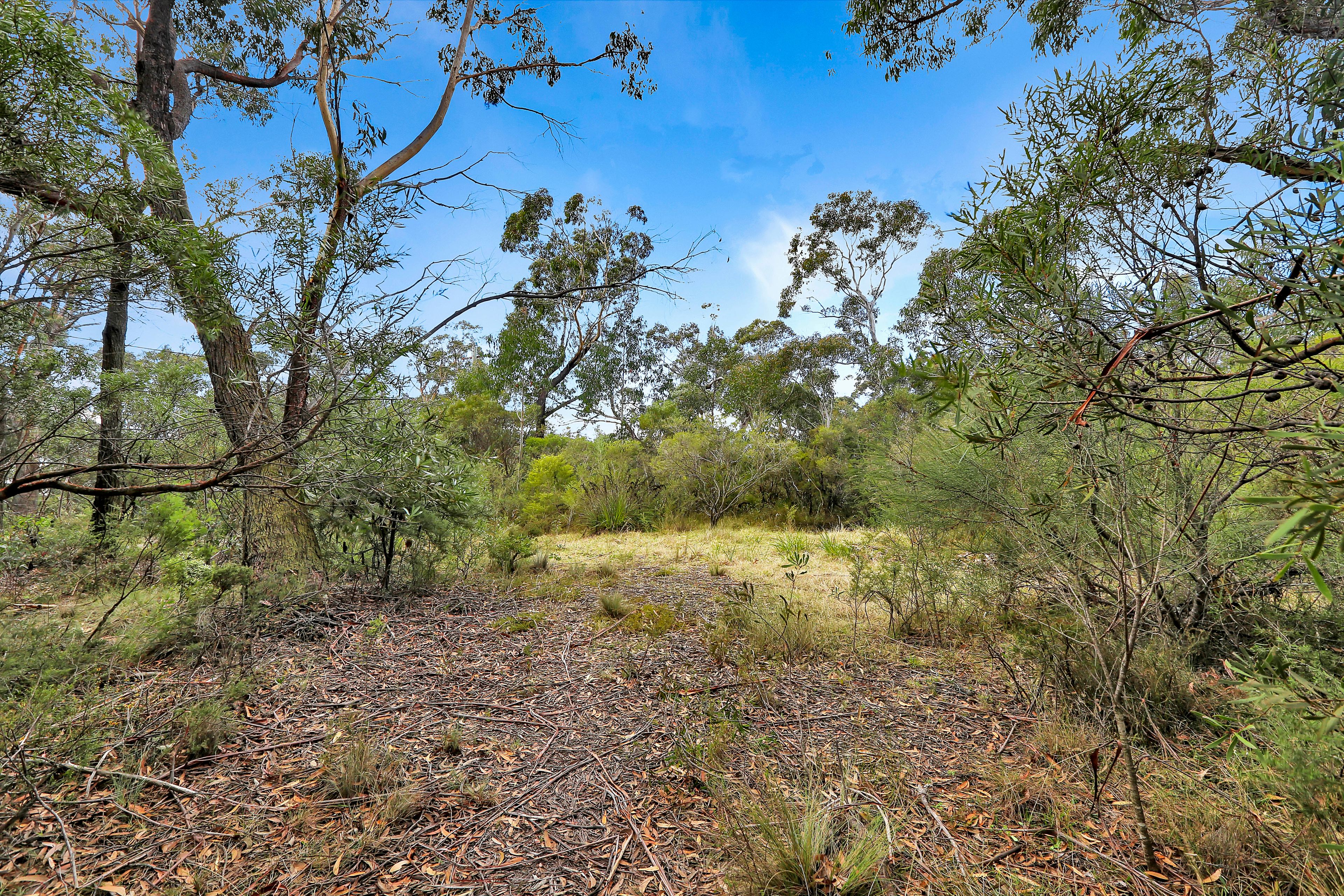 35 FOY AV, MEDLOW BATH NSW 2780, 0 રૂમ, 0 બાથરૂમ, Section