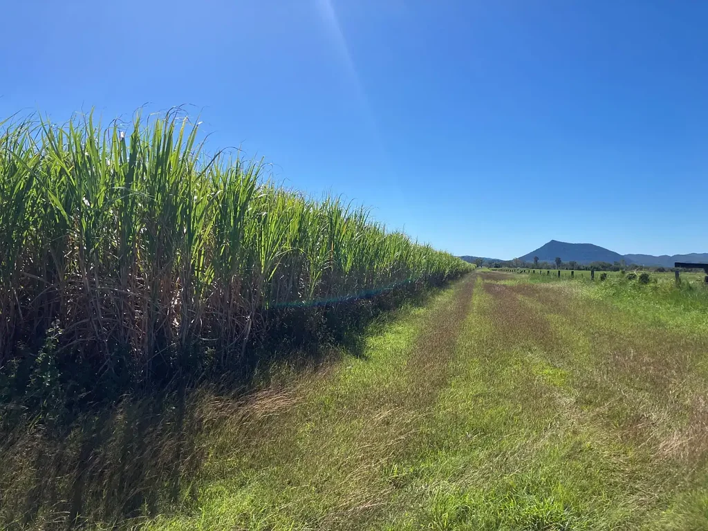 Glen Isla Prime Rural Lifestyle Block in The Whitsundays