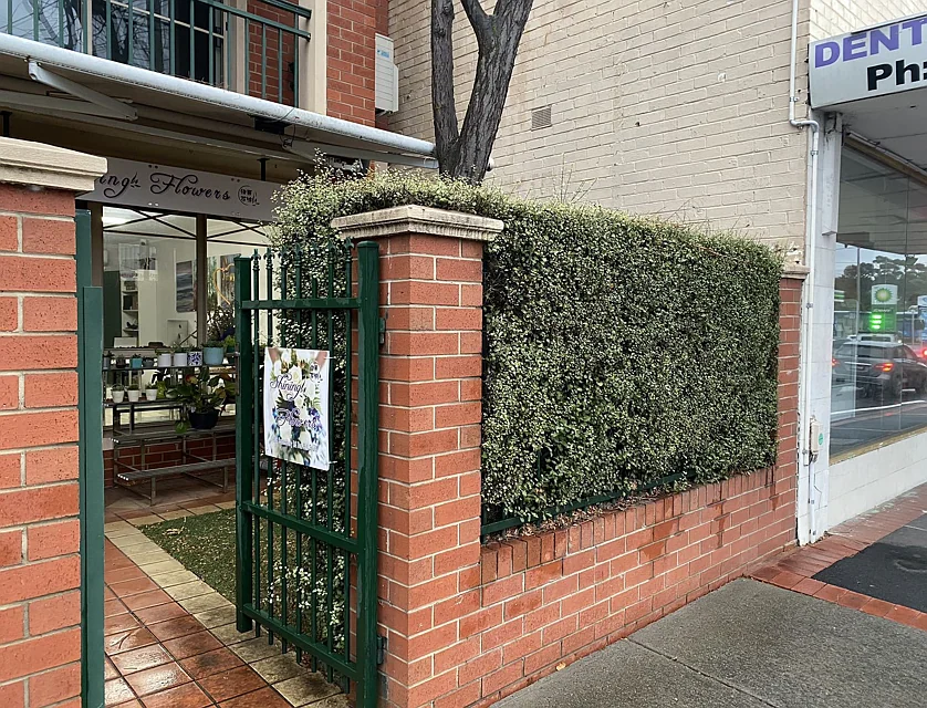 1/916-918 Canterbury Road, Box Hill South, Inner East Melbourne, 1 phòng ngủ, 1 phòng tắm, Unit