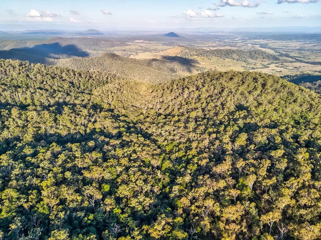 Redbank Creek  1200 Acres of Exceptional Cattle Grazing Potential!