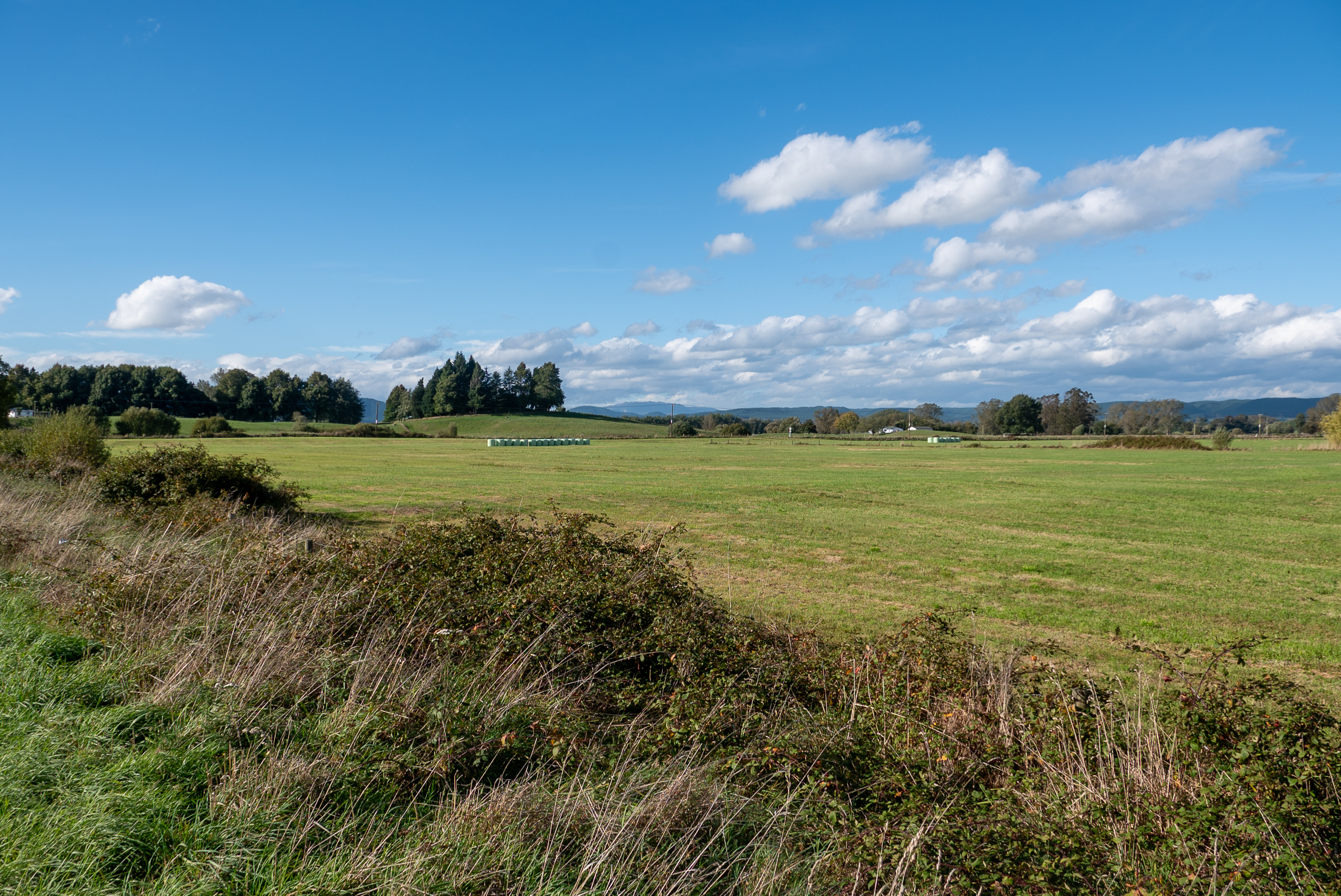 State Highway 5, Reporoa and Surrounds, Rotorua, 0 habitaciones, 1 baños, Lifestyle Section