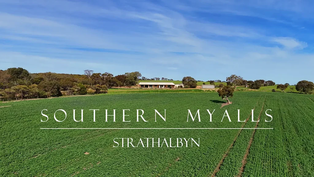 Strathalbyn  Southern Myalls - Strathalbyn - SA