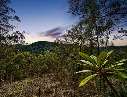 2127 Wollombi Road, Sweetmans Creek, Hunter, 0房, 0浴, Lifestyle Property