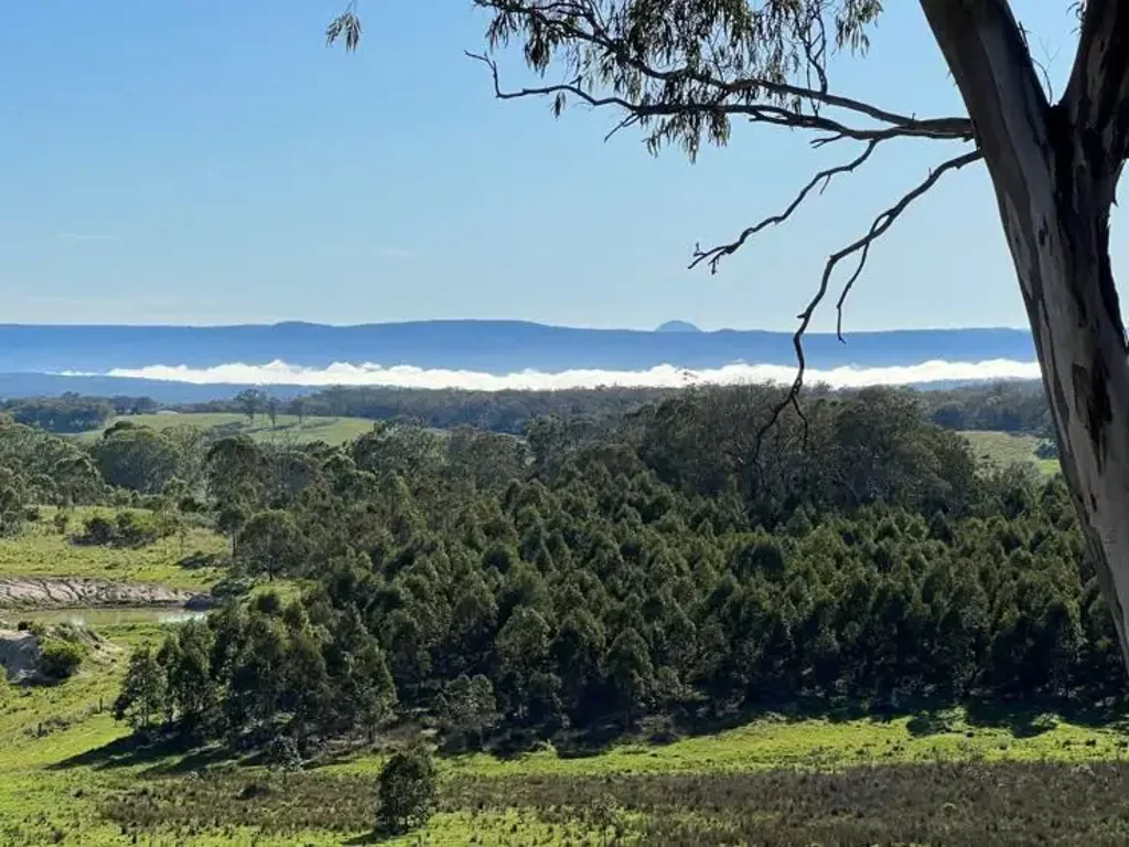 204 Wylie Creek Road, Wylie Creek, NSW 2372