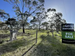 Crown Allotment 13 McMahon Street, St Arnaud