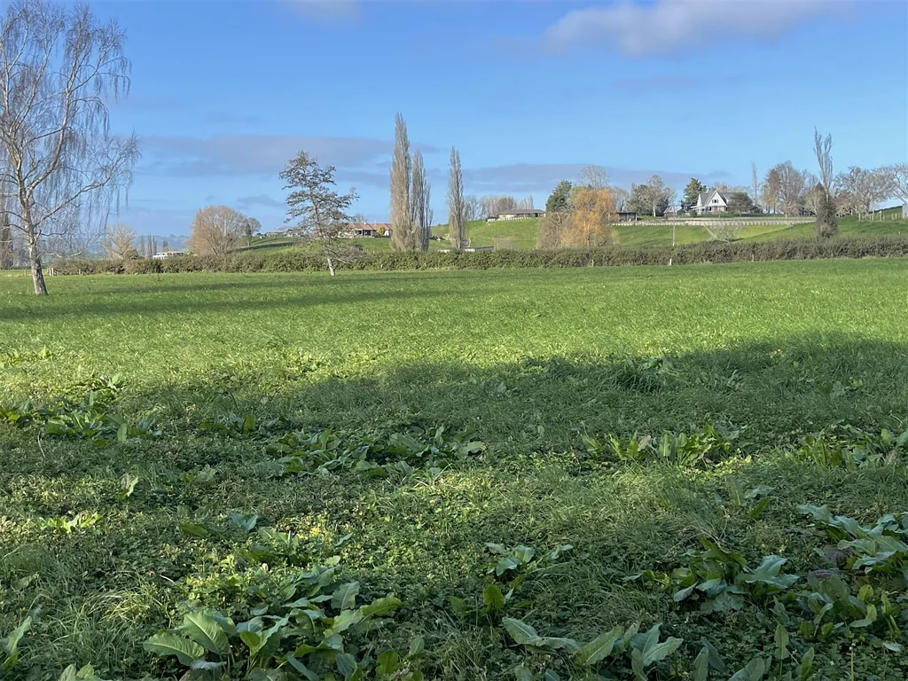 Otorohanga  Big Land Area -  Priced to Sell