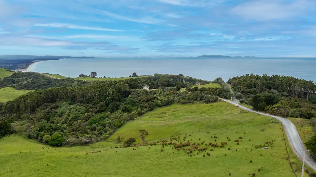 Leigh Stunning Coastal Bush Block