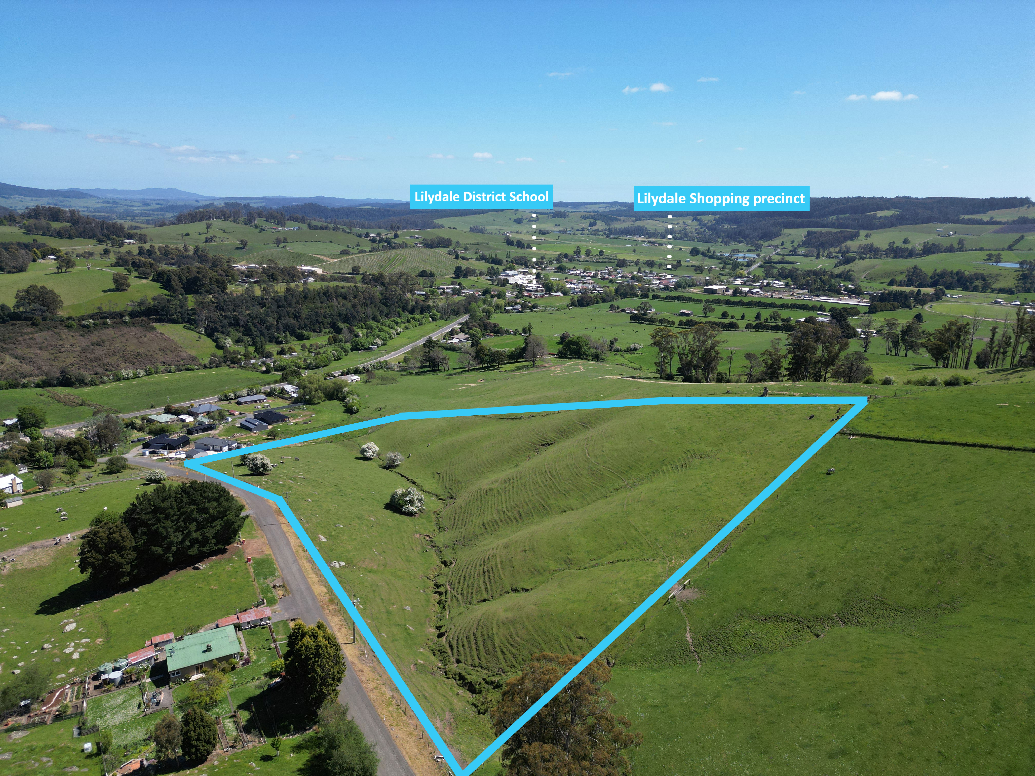 54 MOUNTAIN RD, LILYDALE TAS 7268, 0房, 0浴, Section