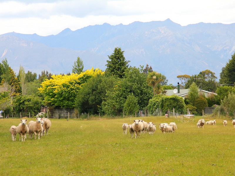 35 Home Street, Manapouri, Southland, 0房, 1浴