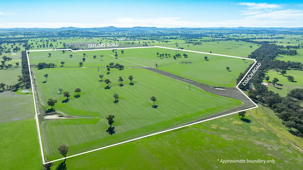 'Eden Hope'/424 Taylors Rd, Culcairn, NSW 2660