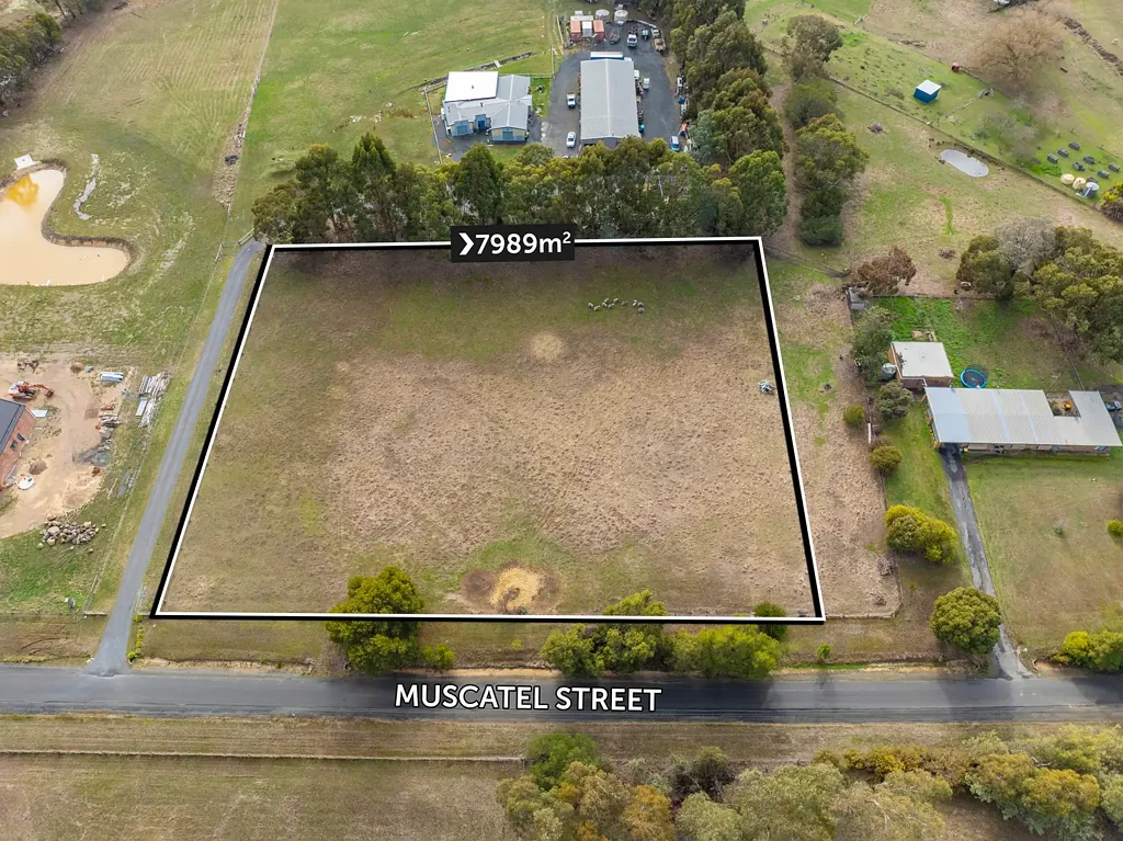 51a Muscatel Street, Invermay, VIC 3352