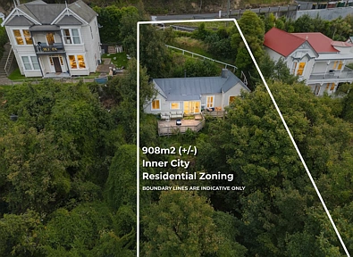 North Dunedin 3Zimmer Scale, Location & Opportunity – All in One