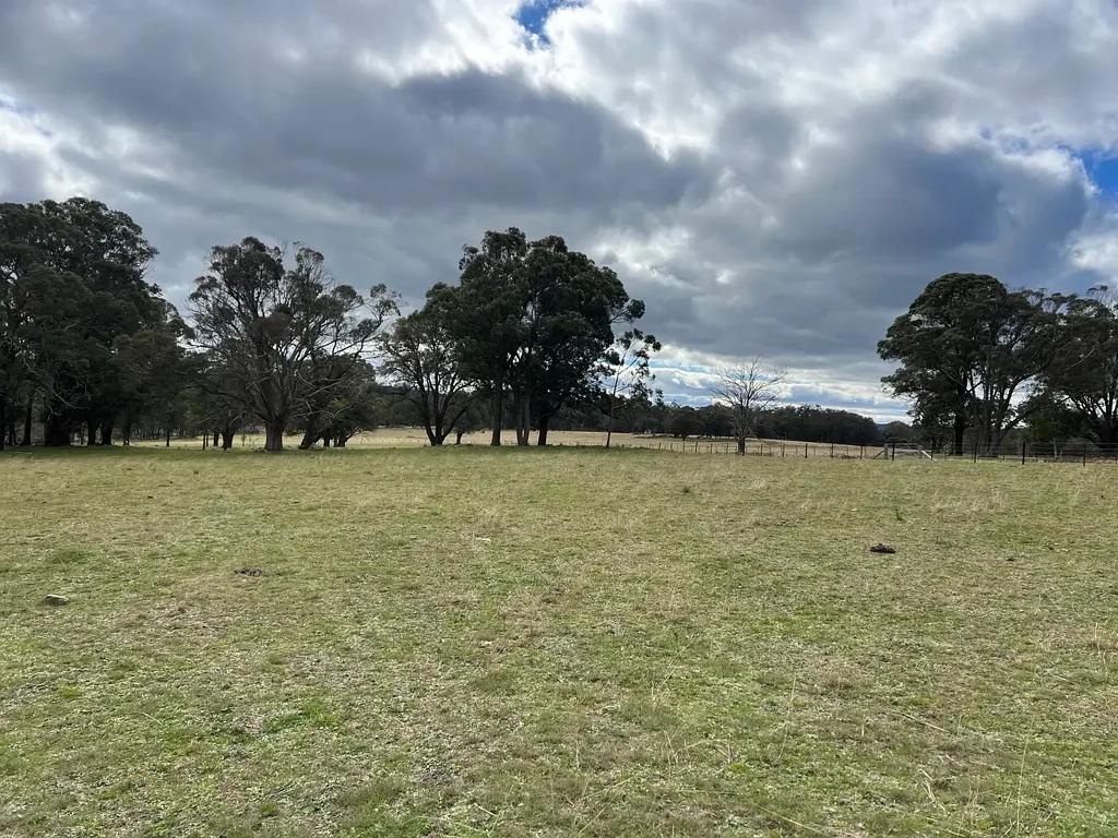 Red Range  40 ACRE GRAZING & FARMING BLOCK