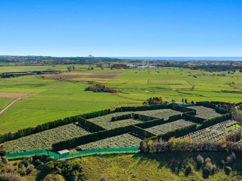 31 Clark Cross Road, Opotiki Coastal, Opotiki, 0 habitaciones, 1 baños