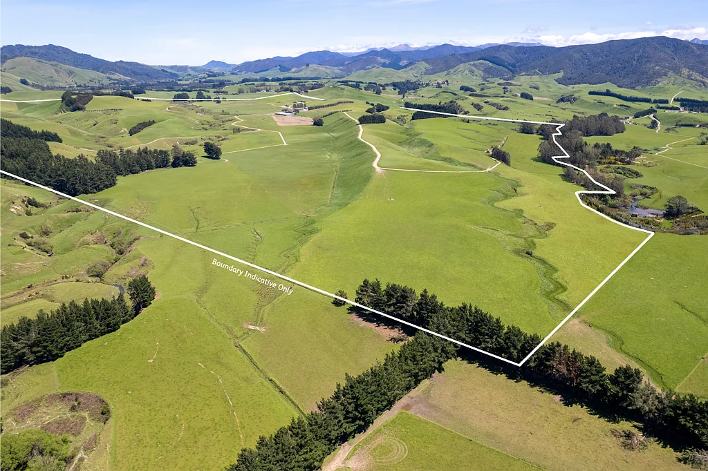 Eketahuna Ngatahaka - 230 ha