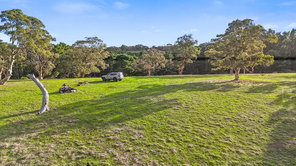 Ashbourne Your call to the wild with commercial viability - 84 acres & two freehold titles.