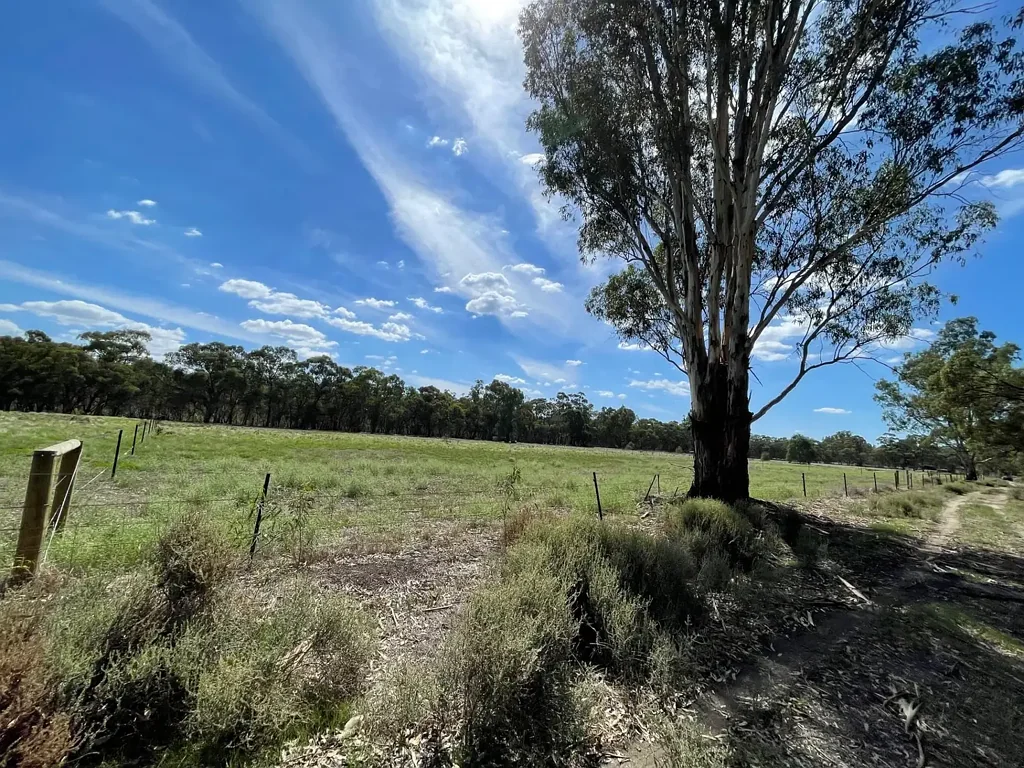 Echuca Village 2 ACRES- WALKING TO MURRAY RIVER