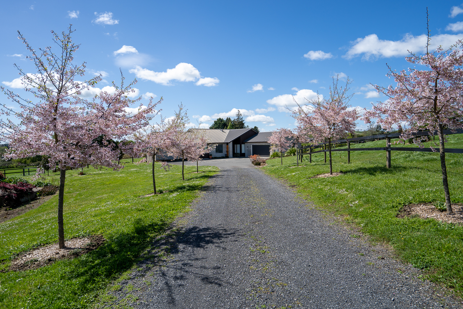 1132b Victoria Road, Tauwhare, Waikato, 4 phòng ngủ, 0 phòng tắm, Lifestyle Property