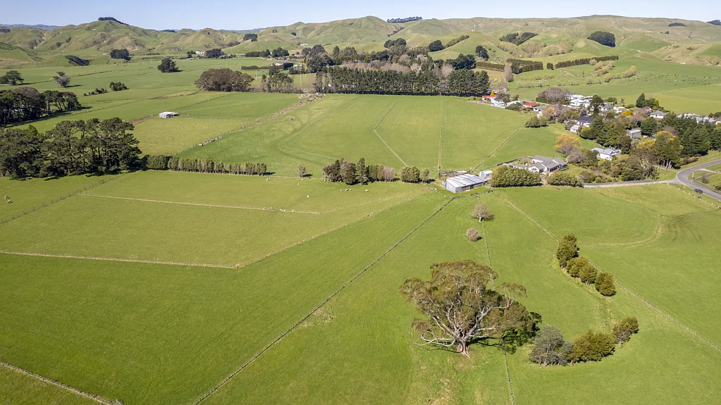 Eketahuna  Small Farm - Eketahuna