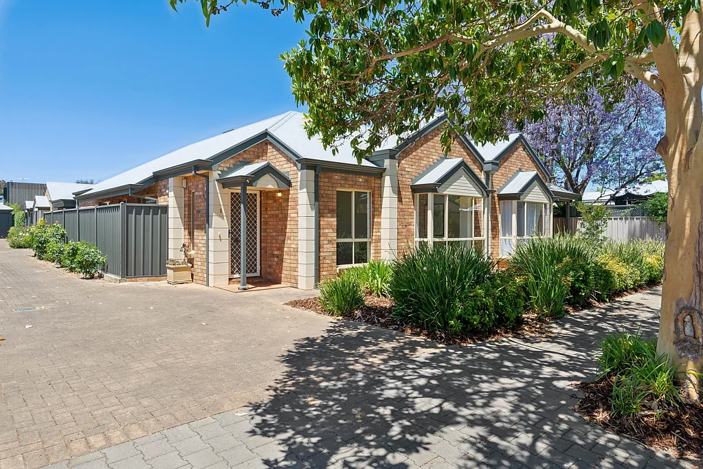 1/3 Lewis Street, Goodwood, SA 5034