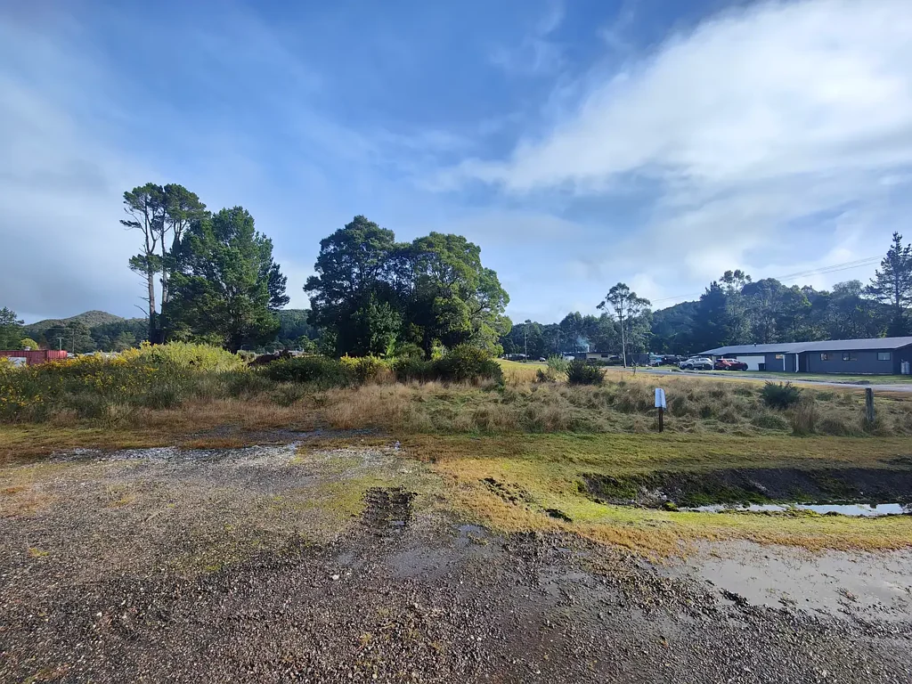 Zeehan  Auction