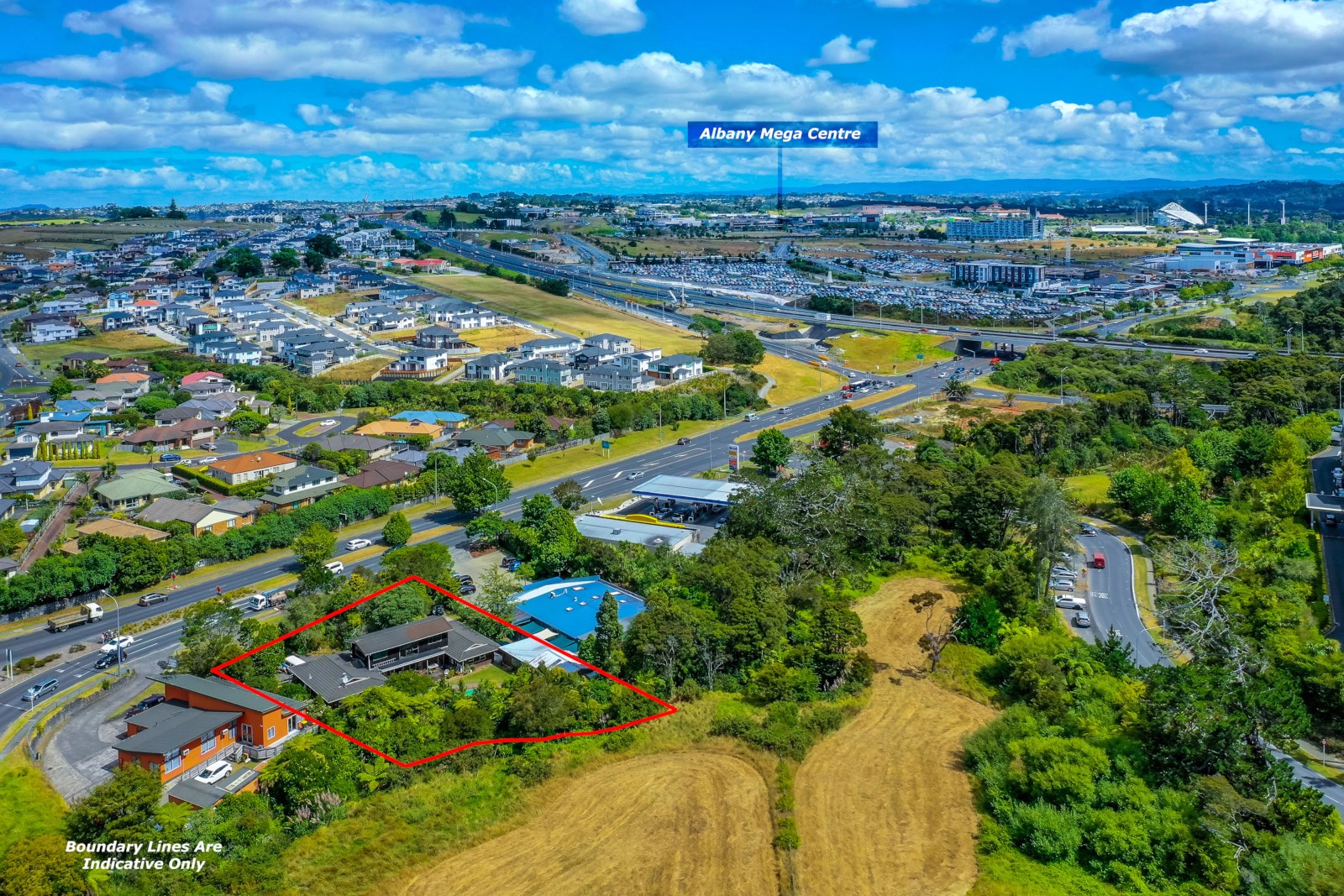 137 Oteha Valley Road, Fairview Heights, Auckland - North Shore, 4房, 0浴