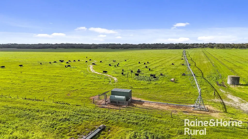 Reedy Creek  462 Acres of Warmer Grazing, Hay & Irrigation Country