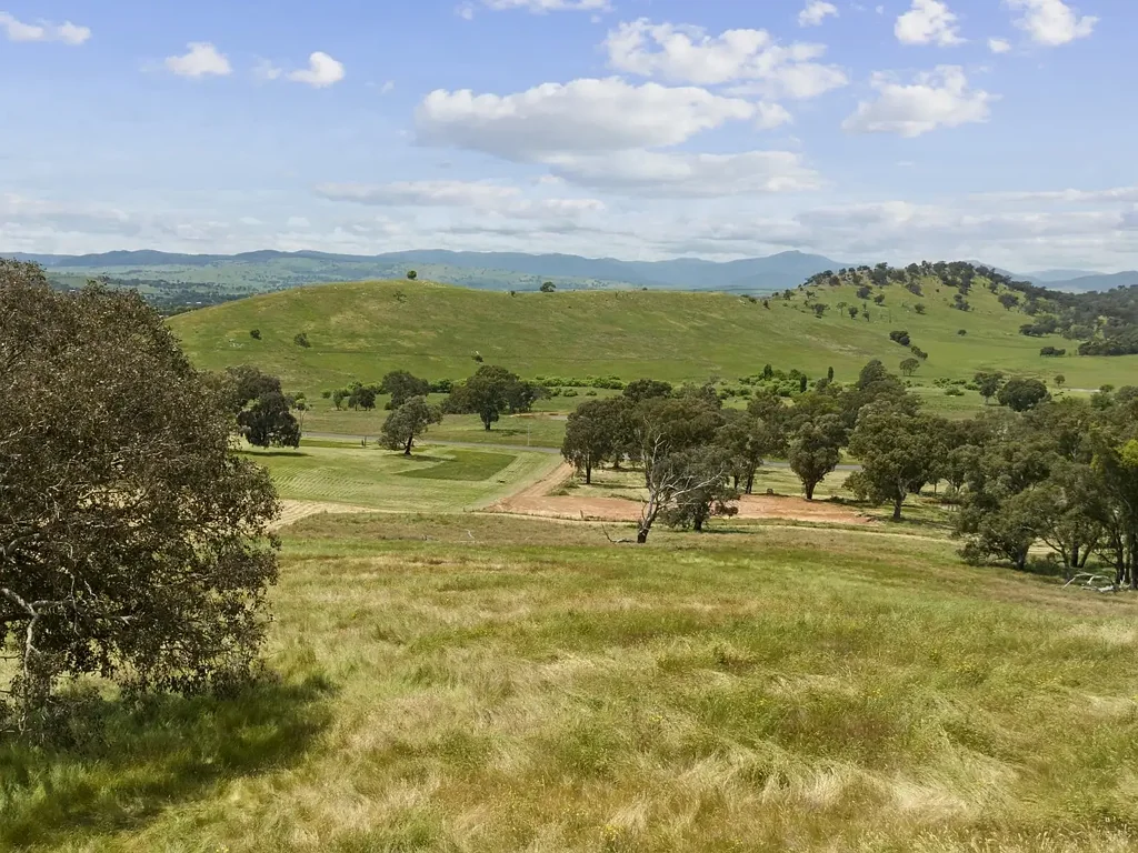 Mansfield 8.5 acres with Buller views in town!