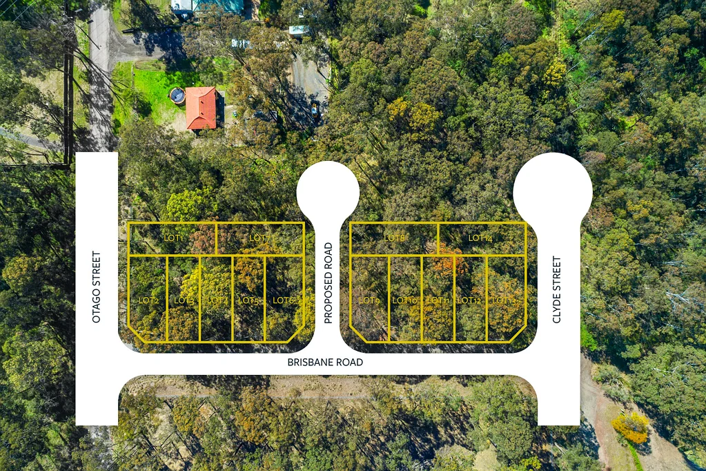 Vineyard 无与伦比的地理位置，潜力无限 Unmatched Location with Growth Potential