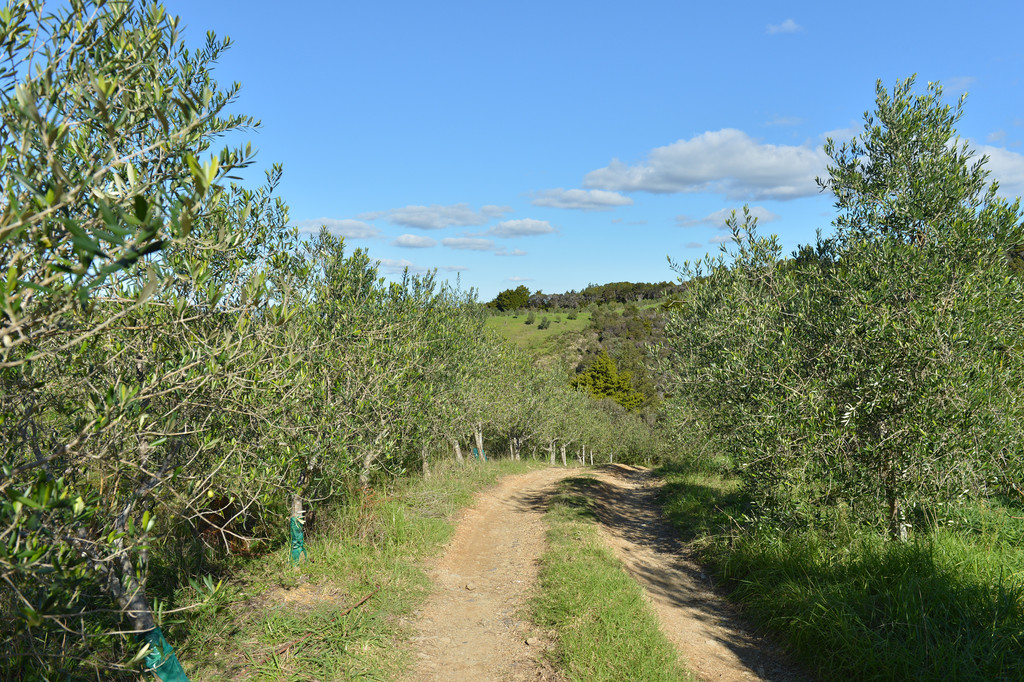 137 Pukenui Road, Ngunguru, Whangarei, 0 chambres, 0 salles de bain