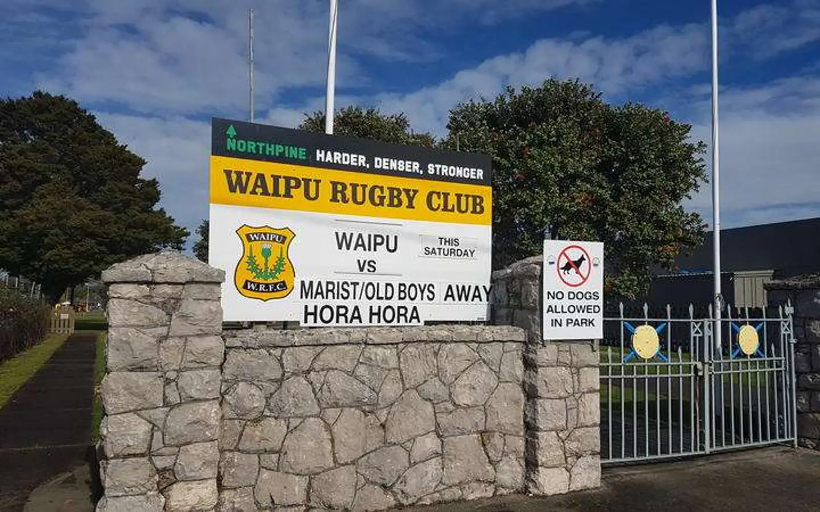 Waipu小镇今天将迎来一件大事，连橄榄球比赛都为此让行