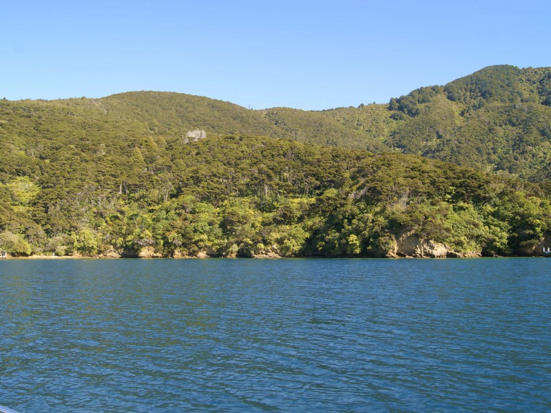 Bay Of Many Coves, Kenepuru Sound, Marlborough, 0 phòng ngủ, 0 phòng tắm