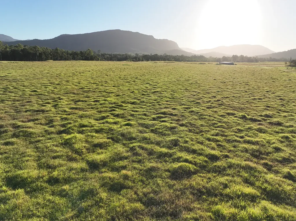 Address Withheld, Bloomsbury, QLD 4799