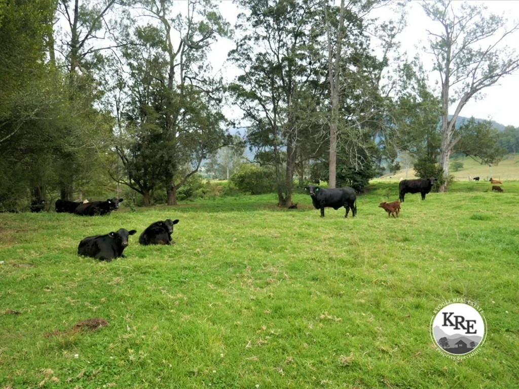 Kyogle "FAWCETT CREEK FARM"