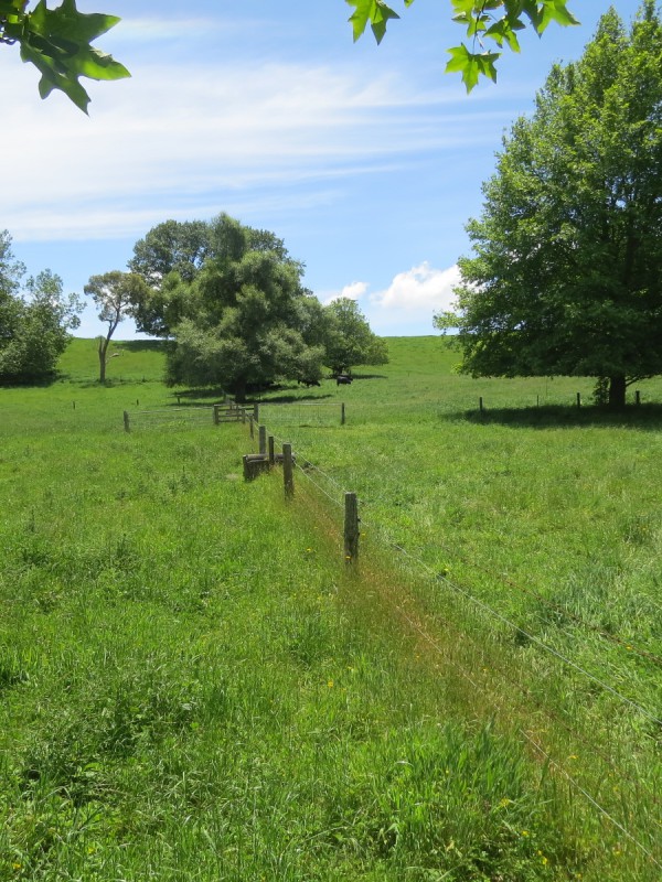 Whawharua Road, Otorohanga, Otorohanga, 0 침실, 1 욕실, Lifestyle Section