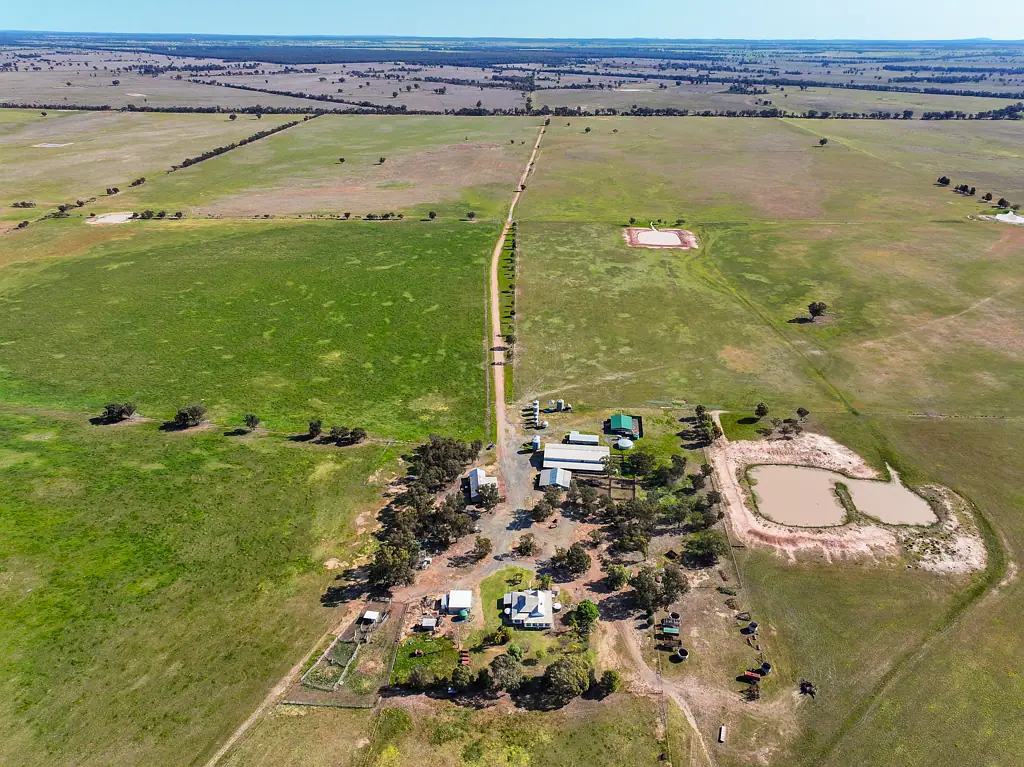 West Wyalong Broadacre Mixed Farming with Scale