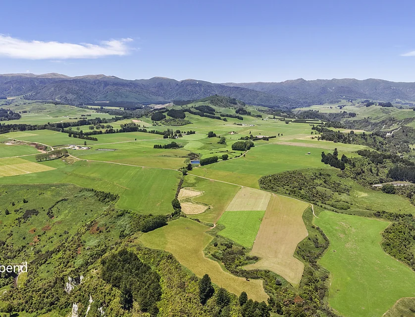 Generational Opportunities, Palmerston North, Manawatu, 0 침실, 0 욕실, Dairy