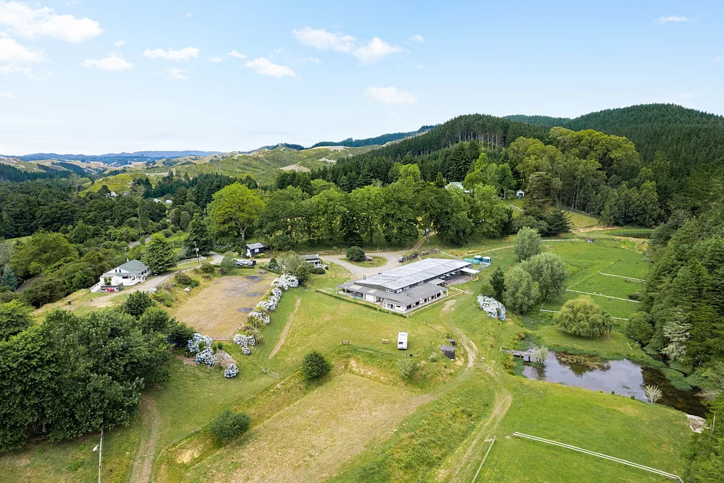 Te Akau 4 Dwellings, Stables & Shed plus more