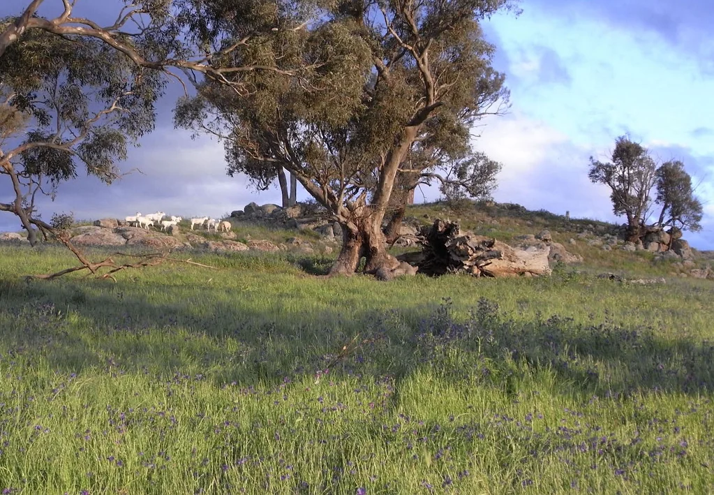 Wymah  PRODUCTIVE ORGANIC FARM ready for your ECO HOME:  an excellent example now identified as ecoproperty®