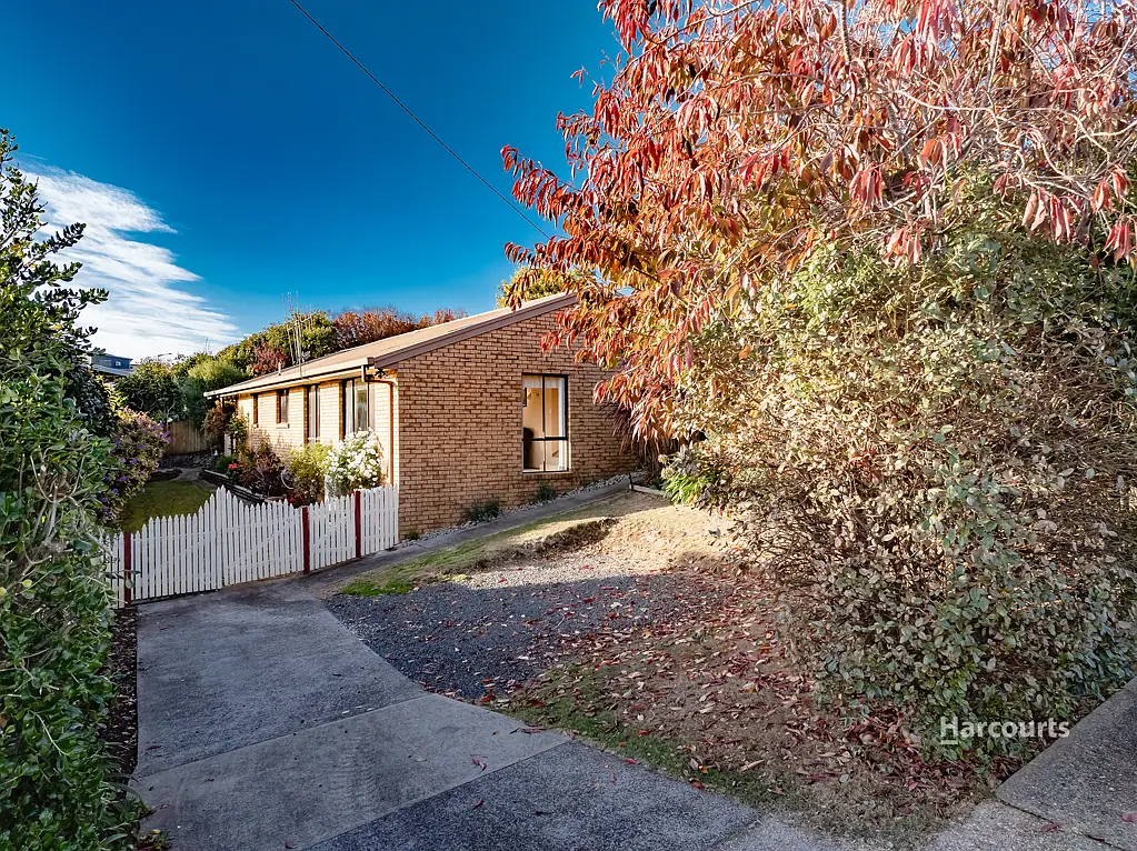 8 Mortimer Road, Penguin, TAS 7316